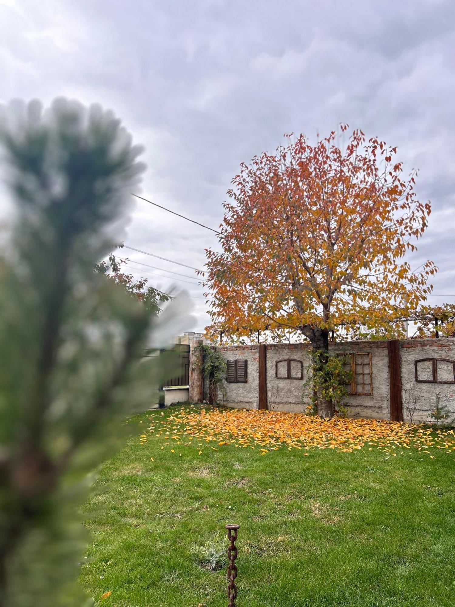 Like Home Rîşnov 外观 照片